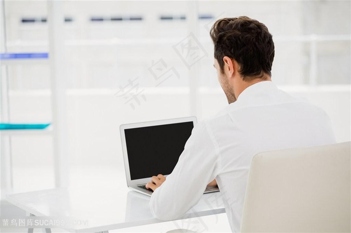 用笔记本办公的商务人士高清图