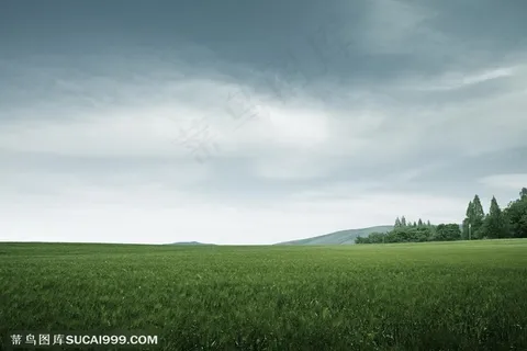 创意广告素材 朦胧乌云下的大片草地 创意广告素材 朦胧乌云下的大片草地