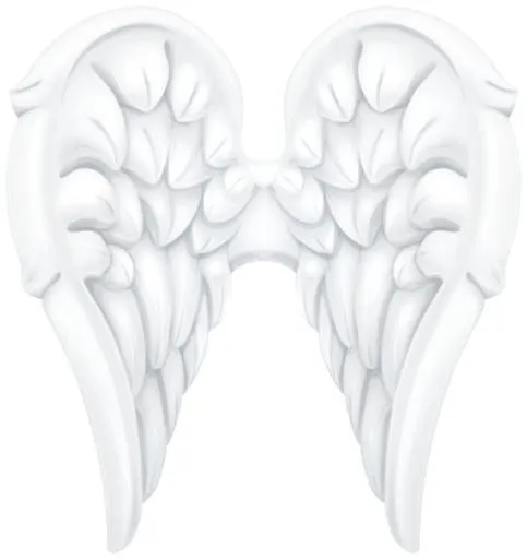 翅膀 PNG免抠(567x600)