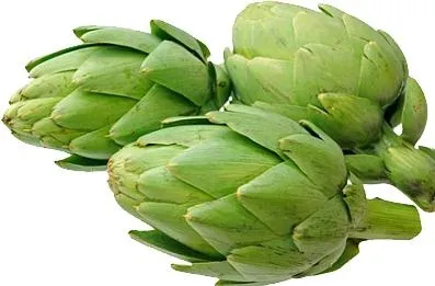 洋蓟 PNG免抠(397x261)