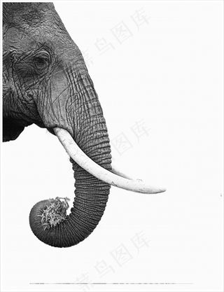 装饰画|客厅|海报画|电表箱装饰画|挂画