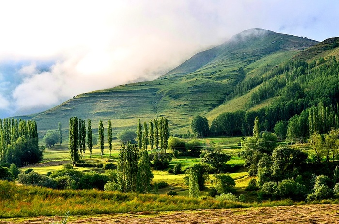 冬天自然背景风景