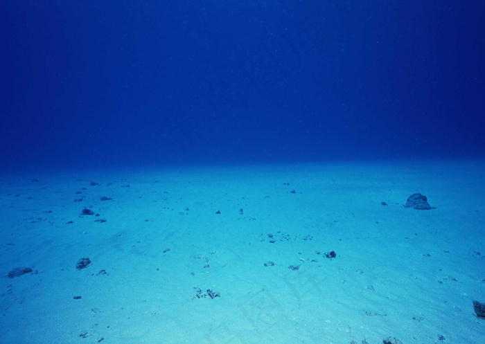 海底世界 123