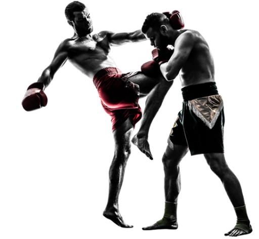 综合格斗 PNG, MMA PNG免抠(544x501)