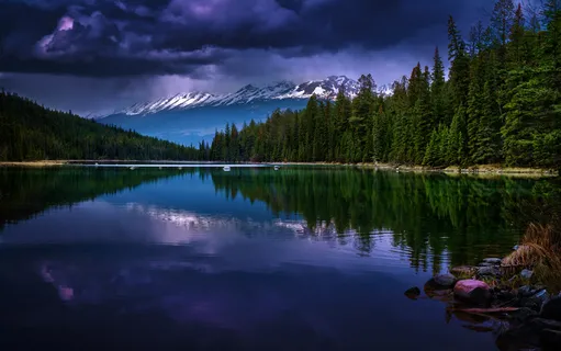 风景 景观 夕阳 黄昏 航拍风景 森林  风景 景观 夕阳 黄昏 航拍风景 森林