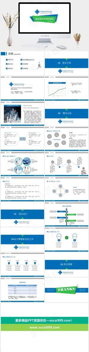 项目合作方案报告PPT模板预览图