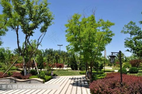 山东新泰清音公园摄影素材