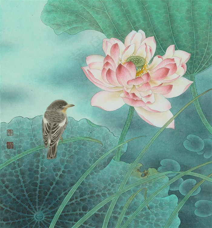 花解语荷花工笔画