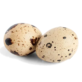 鹌鹑蛋 (超市商品白底图免抠实物摄影png格式图片透明底000