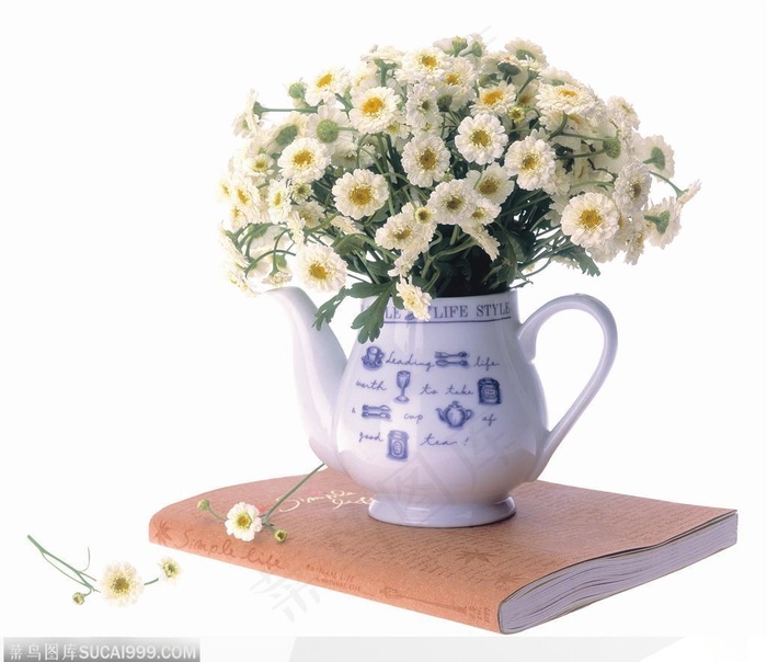 花饰小品-水壶中的白色菊花