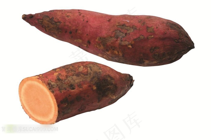 地瓜高清摄影素材