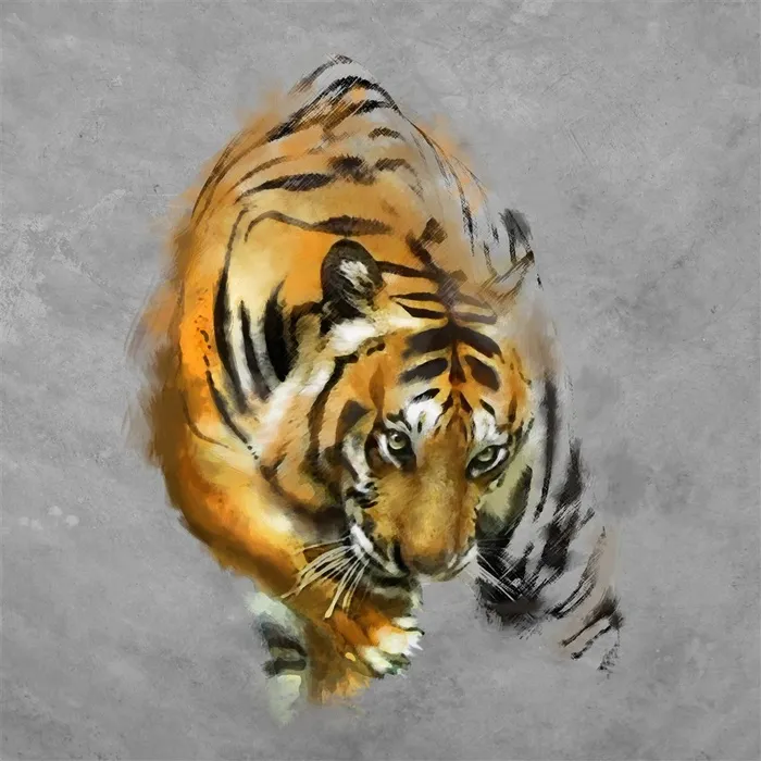 手绘地上行走的老虎