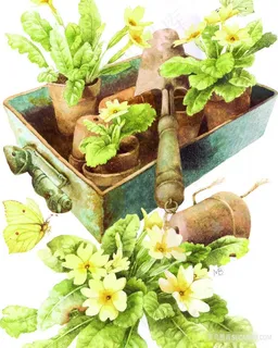 植物花卉唯美艺术油画 植物花卉唯美艺术油画