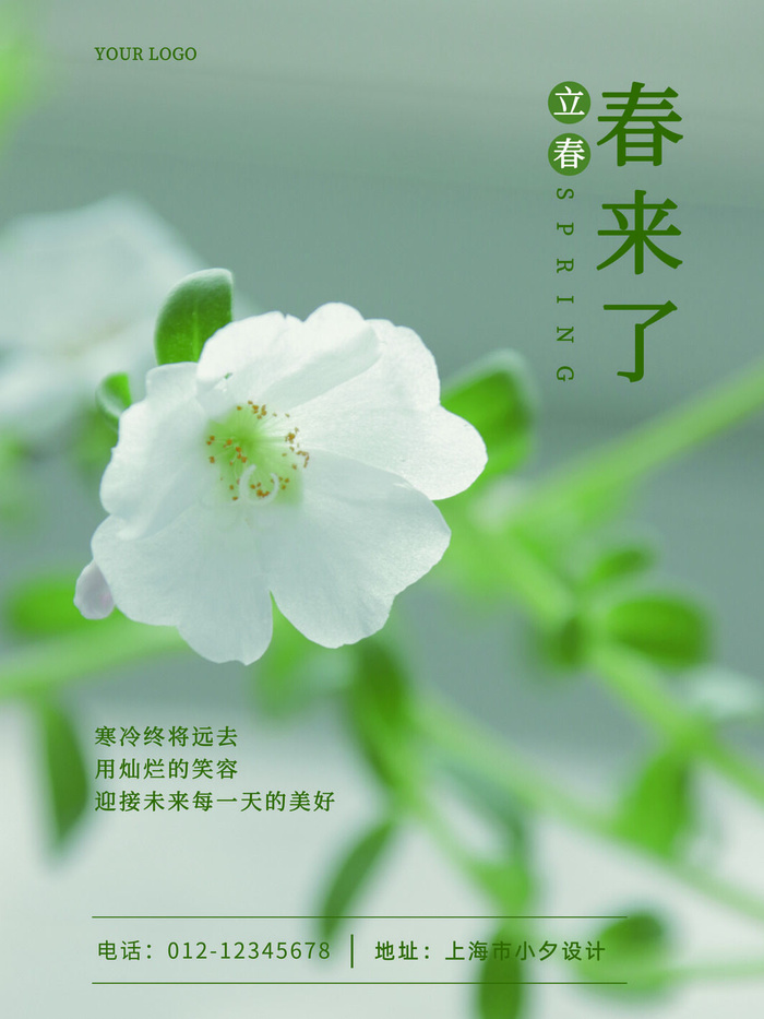 24节气立春春季新春春天海报模板PSD分层设计素材源文件模板