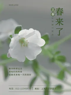 24节气立春春季新春春天海报模板PSD分层设计素材源文件模板