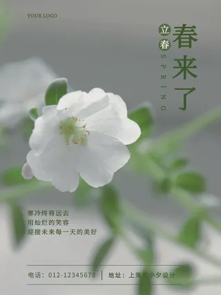 24节气立春春季新春春天海报模板PSD分层设计素材源文件模板