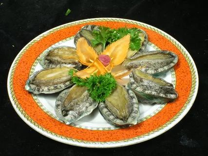 2616鲜鲍鱼 2616鲜鲍鱼