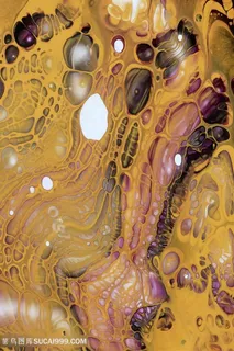 抽象时尚艺术油画挂画 抽象时尚艺术油画挂画