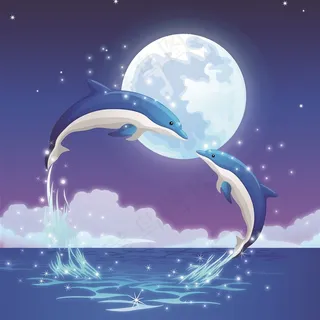 海豚之恋图片