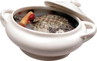 药膳煲甲鱼