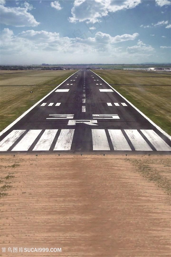 草地道路风景画背景
