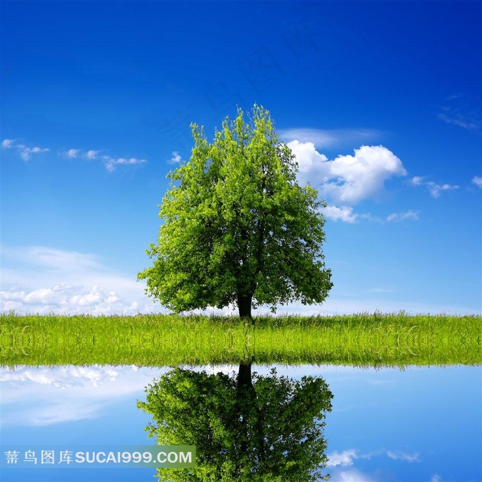 高清草地天空图片素材