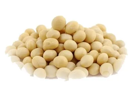 大豆 PNG免抠(454x340)