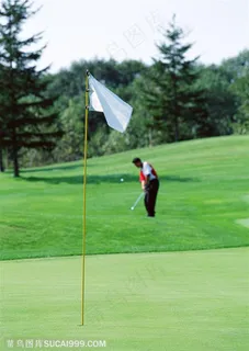 体育运动-嫩绿草地上的高尔夫球