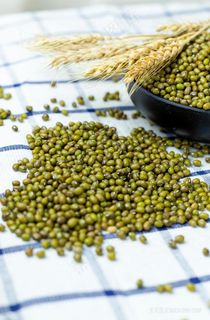 绿色小豆摄影图片