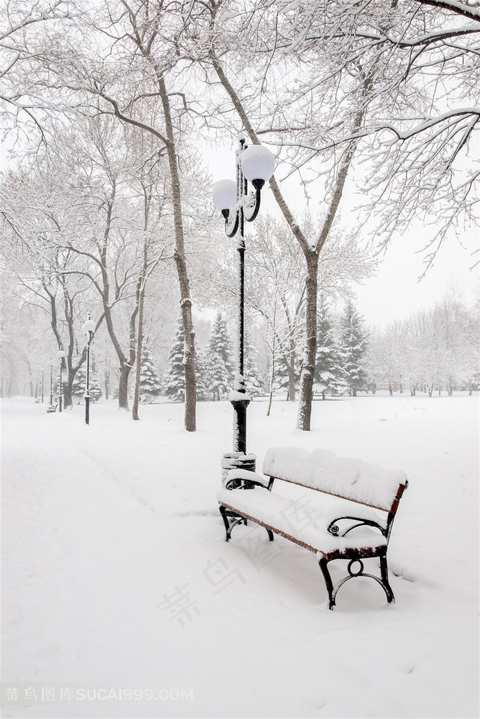 唯美树林雪景风景图片
