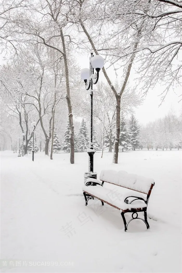 唯美树林雪景风景图片