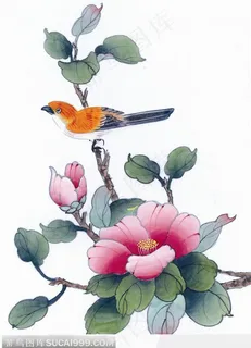 工笔画—茶花 工笔画—茶花