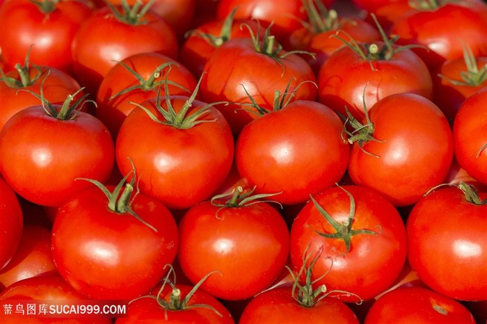 美食素食西红柿