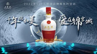 五粮液酒KV主画面