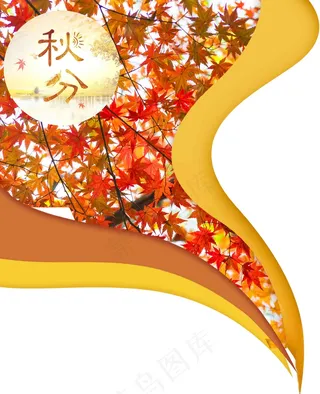 秋分流动的秋天枫叶枫树