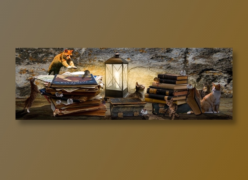 动物, 幻想, 作曲, 图书, 书库, 猫, 鼠, 打猎, 吃下去