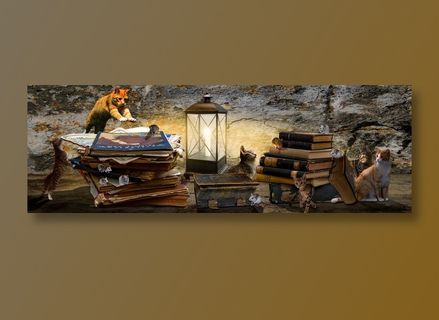 动物, 幻想, 作曲, 图书, 书库, 猫, 鼠, 打猎, 吃下去