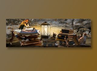 动物, 幻想, 作曲, 图书, 书库, 猫, 鼠, 打猎, 吃下去