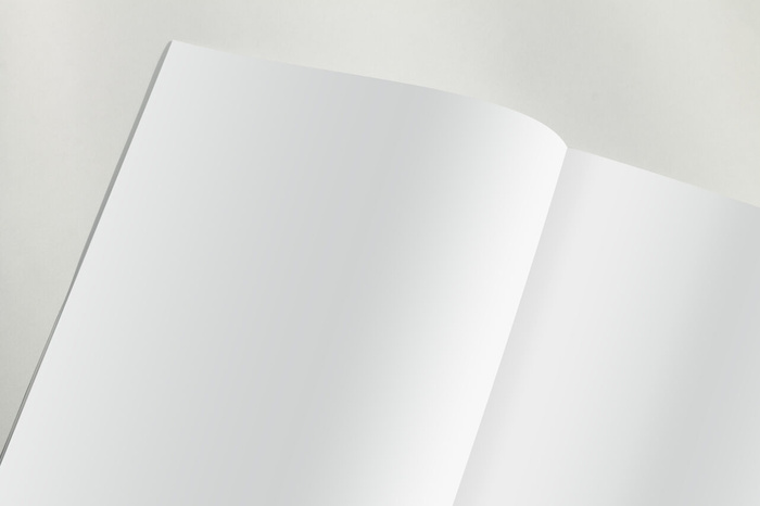 产品画册提案效果样机模板