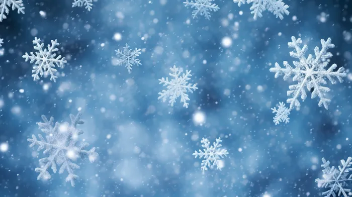 立冬吃饺子美食摄影图(4368x2448)