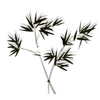 竹子水墨画中国风国画墨水书法竹子画