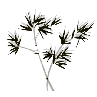 竹子水墨画中国风国画墨水书法竹子画