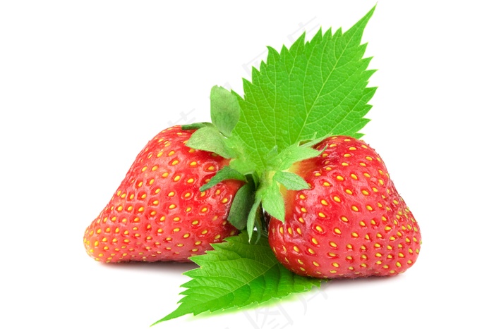 成熟红草莓摄影图片