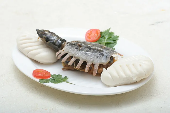 红烧甲鱼仔