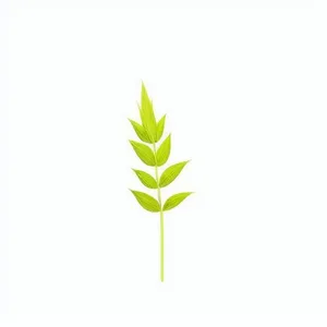 一支草卡通手绘png免抠