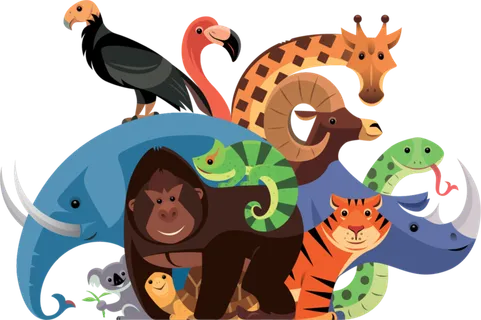 长颈鹿卡通动画简笔 长颈鹿卡通动画简笔