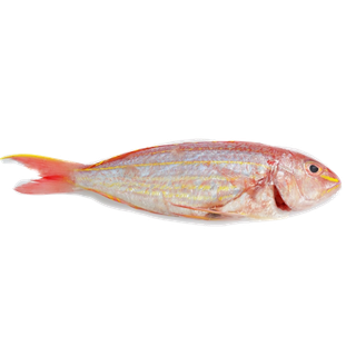 鱼类(83)海鲜超市商品红酒白底图免抠实物摄影png格式图片透明底