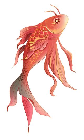 手绘烫金国潮中国风卡通锦鲤鱼金鱼插画装饰元素PSD设计素材