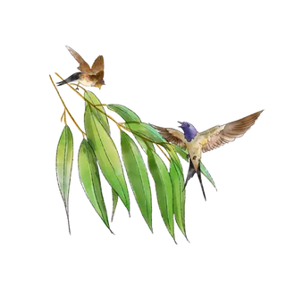 春天绿色春季水墨柳树柳条柳叶春季海报设计PNG免扣素材