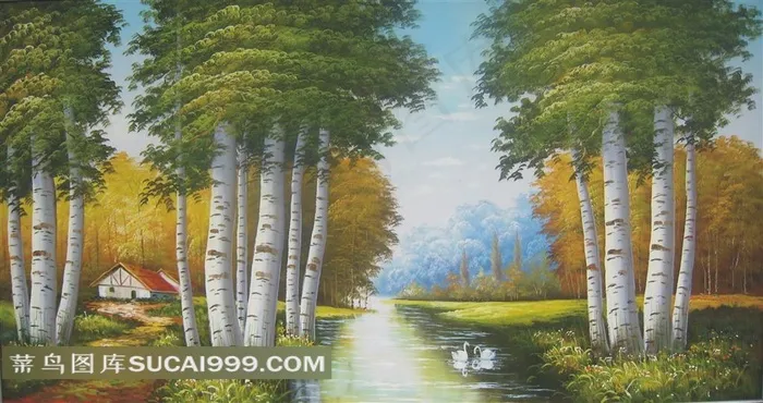 白桦林风景绘画图片